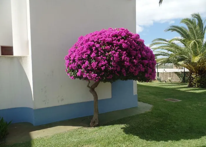 Daire Vista Formosa 1 *