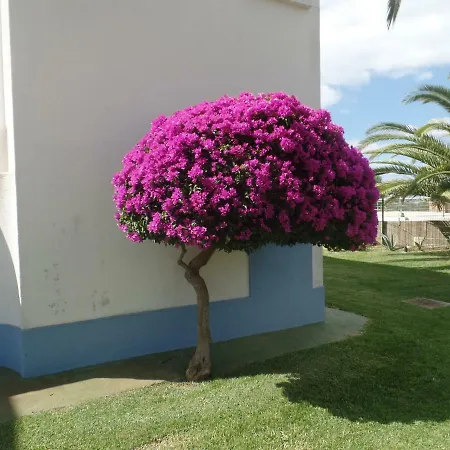 Daire Vista Formosa 1 *